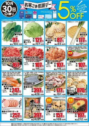 阪南市でのザ・ビッグのカタログ | 排他的な掘り出し物 | 2025-10-30T00:00:00.000Z - 2025-11-13T00:00:00.000Z