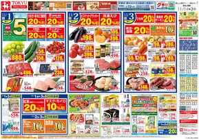 目黒区での東急ストアのカタログ | 東急ストア チラシ | 2025-10-31T00:00:00.000Z - 2025-11-03T00:00:00.000Z