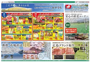 私たちの最高の掘り出し物