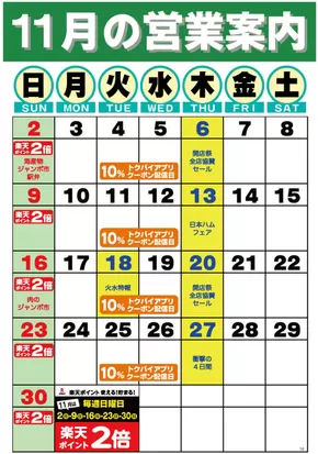 ドミーのカタログ | 私たちの最高の掘り出し物 | 2025-11-01T00:00:00.000Z - 2025-11-30T00:00:00.000Z