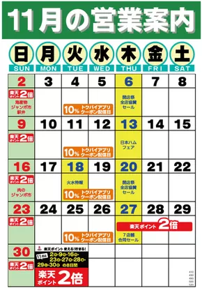 ドミーのカタログ | 排他的な掘り出し物 | 2025-11-01T00:00:00.000Z - 2025-11-30T00:00:00.000Z