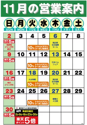 ドミーのカタログ | あなたのための私たちの最高のオファー | 2025-11-01T00:00:00.000Z - 2025-11-30T00:00:00.000Z