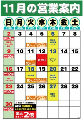 ドミーのカタログ | 現在の取引とオファー | 2025-11-01T00:00:00.000Z - 2025-11-30T00:00:00.000Z