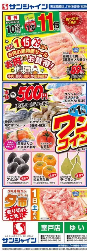 芸西村でのサンシャインのカタログ | 現在の特別プロモーション | 2025-11-01T00:00:00.000Z - 2025-11-29T00:00:00.000Z