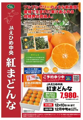 北相馬郡でのランドロームのカタログ | 掘り出し物ハンターのためのオファー | 2025-11-01T00:00:00.000Z - 2025-12-10T00:00:00.000Z