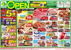 渋谷区でのいなげやのカタログ | すべてのお客様のためのトップディール | 2025-11-02T00:00:00.000Z - 2025-11-04T00:00:00.000Z