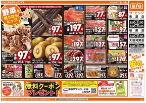 山県市でのザ・ビッグのカタログ | 排他的な取引と掘り出し物 | 2025-11-01T00:00:00.000Z - 2025-11-04T00:00:00.000Z