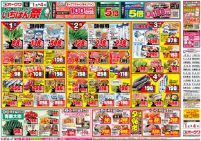 泉南郡でのオークワのカタログ | オークワ チラシ | 2025-10-31T00:00:00.000Z - 2025-11-04T00:00:00.000Z