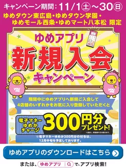 岡山市でのゆめタウンのカタログ | 私たちの最高の掘り出し物 | 2025-11-01T00:00:00.000Z - 2025-11-19T00:00:00.000Z