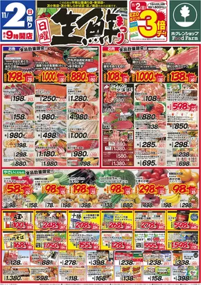 柏市でのホクレンショップのカタログ | 選ばれた製品の素晴らしい割引 | 2025-11-02T00:00:00.000Z - 2025-11-03T00:00:00.000Z