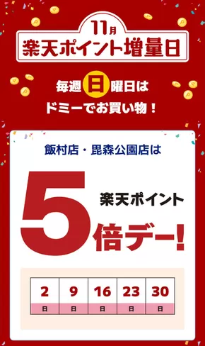 ドミーのカタログ | すべての掘り出し物ハンターのためのトップオファー | 2025-11-02T00:00:00.000Z - 2025-11-30T00:00:00.000Z