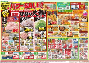 さいたま市でのいなげやのカタログ | 豊富なオファーの選択 | 2025-11-05T00:00:00.000Z - 2025-11-11T00:00:00.000Z