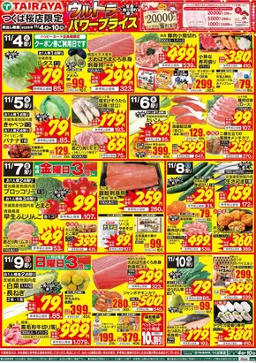 筑西市でのたいらやのカタログ | 倹約家のためのトップオファー | 2025-11-04T00:00:00.000Z - 2025-11-10T00:00:00.000Z