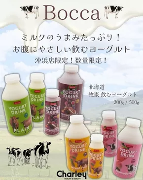 越前市でのチャーリーのカタログ | 豊富なオファーの選択 | 2025-11-04T00:00:00.000Z - 2025-11-16T00:00:00.000Z