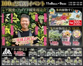 千曲市でのホームセンタームサシのカタログ | 11/8、11/9ガーデンセンターにてイベント開催! | 2025-11-07T00:00:00.000Z - 2025-11-09T00:00:00.000Z