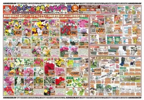 貝塚市でのハンズマンのカタログ | 排他的な掘り出し物 | 2025-11-05T00:00:00.000Z - 2025-11-14T00:00:00.000Z