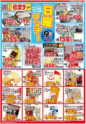 ラルズのカタログ | 1109 Web日曜ワンデー | 2025-11-08T00:00:00.000Z - 2025-11-09T00:00:00.000Z