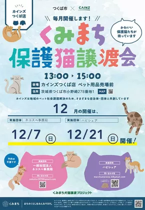 平川市でのカインズホームのカタログ | 保護猫 | 2025-11-06T00:00:00.000Z - 2025-12-06T00:00:00.000Z