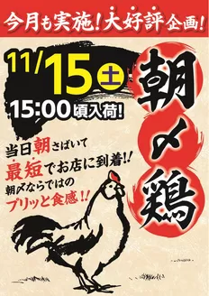 千葉市でのマミーマートのカタログ | すべての人のための魅力的な特別オファー | 2025-11-09T00:00:00.000Z - 2025-11-15T00:00:00.000Z