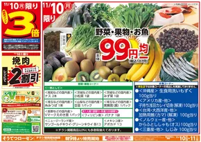 日南市での相鉄ローゼンのカタログ | 排他的な取引と掘り出し物 | 2025-11-09T00:00:00.000Z - 2025-11-11T00:00:00.000Z