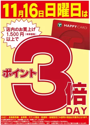 日南市でのたいらやのカタログ | 現在の特別プロモーション | 2025-11-16T00:00:00.000Z - 2025-11-16T00:00:00.000Z
