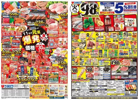 新潟市でのウオロクのカタログ | ウオロク チラシ | 2025-11-01T00:00:00.000Z - 2025-11-30T00:00:00.000Z