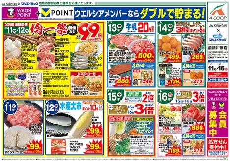 宇和島市でのマルエドラッグのカタログ | JA-F×前橋川原 11.11号 日替わり | 2025-11-10T00:00:00.000Z - 2025-11-16T00:00:00.000Z