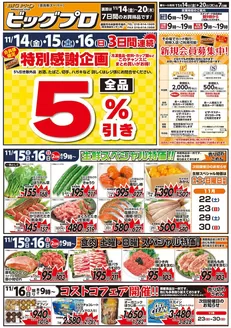 二戸郡でのベルジョイスのカタログ | ビッグプロ | 2025-11-13T00:00:00.000Z - 2025-11-20T00:00:00.000Z