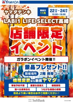 ヤマダ電機のカタログ | あなたのための特別オファー | 2025-11-19T00:00:00.000Z - 2025-11-24T00:00:00.000Z