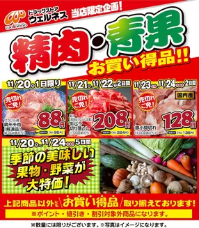 ウェルネスのカタログ | 11 /20~24 ウェルネス生鮮LINEチラシ-1・2 | 2025-11-19T00:00:00.000Z - 2025-11-24T00:00:00.000Z