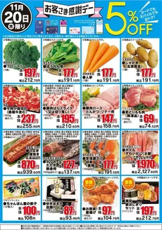 新潟市でのザ・ビッグのカタログ | 倹約家のためのトップオファー | 2025-11-20T00:00:00.000Z - 2025-11-20T00:00:00.000Z