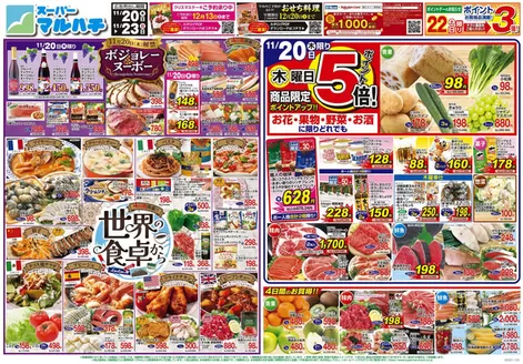 川崎市でのマルハチのカタログ | 2025年11月20日-23日 | 2025-11-19T00:00:00.000Z - 2025-11-23T00:00:00.000Z