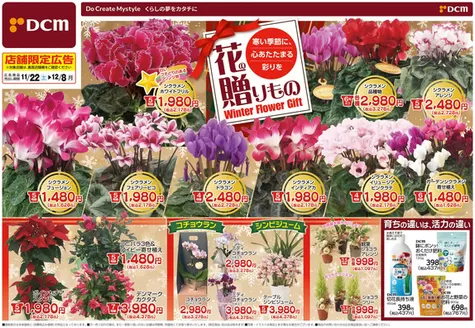 北九州市でのDCMのカタログ | すべてのお客様のための素晴らしいオファー | 2025-11-21T00:00:00.000Z - 2025-12-08T00:00:00.000Z