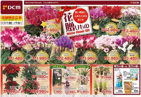 熊本市でのDCMのカタログ | 倹約家のためのトップオファー | 2025-11-21T00:00:00.000Z - 2025-12-08T00:00:00.000Z