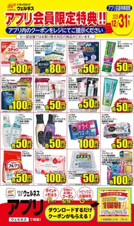 仁多郡でのウェルネスのカタログ | 12/1~12/31 ウェルネスアプリクーポンチラシ | 2025-11-30T00:00:00.000Z - 2025-12-31T00:00:00.000Z