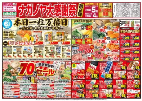 大洲市でのNAGANOYAのカタログ | NAGANOYA チラシ | 2025-12-06T00:00:00.000Z - 2025-12-10T00:00:00.000Z