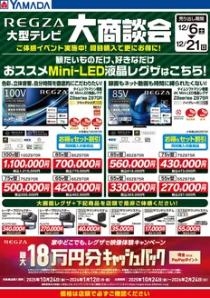 札幌市でのヤマダ電機のカタログ | 排他的な掘り出し物 | 2025-12-05T00:00:00.000Z - 2025-12-21T00:00:00.000Z
