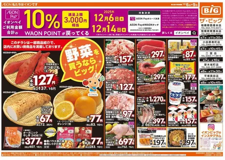 静岡市でのザ・ビッグのカタログ | 私たちのお客様のための排他的な取引 | 2025-12-06T00:00:00.000Z - 2025-12-09T00:00:00.000Z