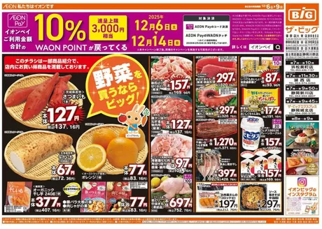 静岡市でのザ・ビッグのカタログ | 割引とプロモーション | 2025-12-06T00:00:00.000Z - 2025-12-09T00:00:00.000Z