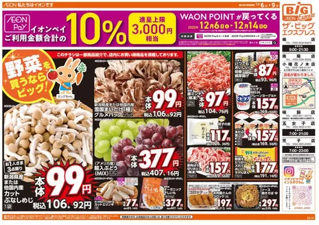 静岡市でのザ・ビッグのカタログ | 魅力的なオファーを発見する | 2025-12-06T00:00:00.000Z - 2025-12-09T00:00:00.000Z