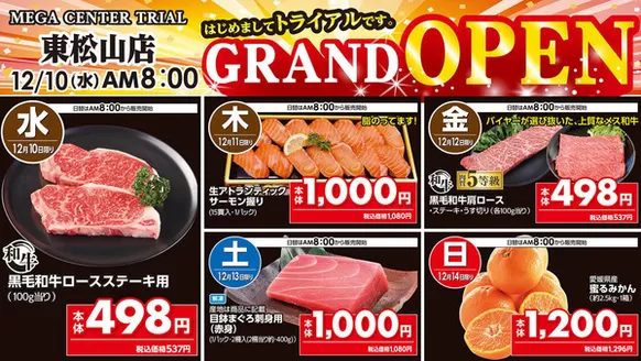 トライアルのカタログ | 掘り出し物ハンターのための素晴らしいオファー | 2025-12-10T00:00:00.000Z - 2025-12-14T00:00:00.000Z