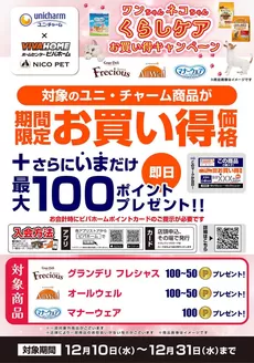 ビバホームのカタログ | 私たちの最高の掘り出し物 | 2025-12-10T00:00:00.000Z - 2025-12-31T00:00:00.000Z