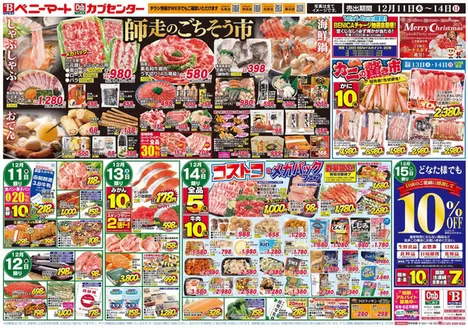 カブセンターのカタログ | 現在の掘り出し物とオファー | 2025-12-11T00:00:00.000Z - 2025-12-14T00:00:00.000Z