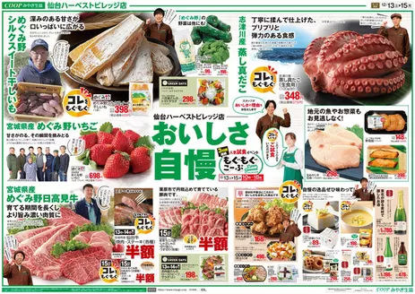 松島町でのみやぎ生活協同組合のカタログ | 今すぐ私たちの取引で節約 | 2025-12-13T00:00:00.000Z - 2025-12-15T00:00:00.000Z