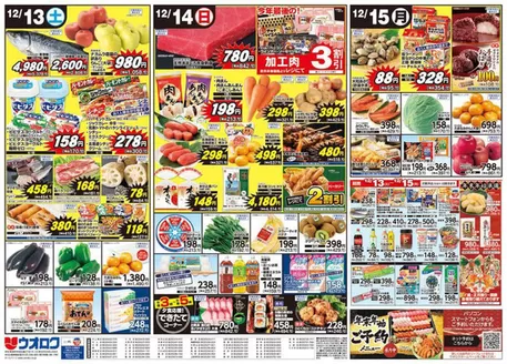 長岡市でのウオロクのカタログ | 現在の取引とオファー | 2025-12-13T00:00:00.000Z - 2025-12-15T00:00:00.000Z