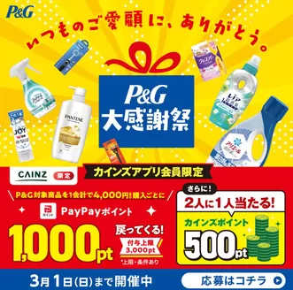 あきる野市でのカインズホームのカタログ | P&G大感謝祭 12/18号 | 2025-12-17T00:00:00.000Z - 2026-01-06T00:00:00.000Z