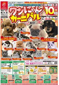 札幌市でのジュンテンドーのカタログ | 魅力的なオファーを発見する | 2025-12-19T00:00:00.000Z - 2026-01-12T00:00:00.000Z