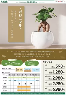 越谷市でのカインズホームのカタログ | カジュマル？1/2号 | 2026-01-01T00:00:00.000Z - 2026-01-08T00:00:00.000Z