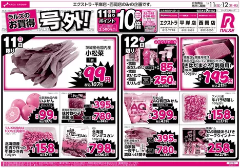 東松山市でのラルズのカタログ | 111-12 | 2026-01-10T00:00:00.000Z - 2026-01-12T00:00:00.000Z