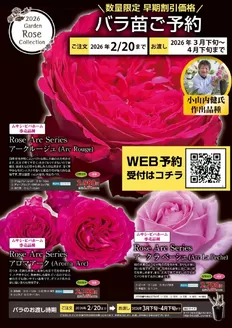 仙台市でのホームセンタームサシのカタログ | バラクレマチス苗予約受付中 | 2026-01-12T00:00:00.000Z - 2026-02-20T00:00:00.000Z